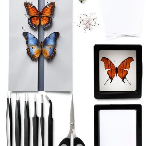 Insect Specimen Kit Dddzerong with Pinning Board and Display Case-0