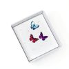 Insect Pinning Kit Taiyin 100 Pins 3 Tweezers White Box-5
