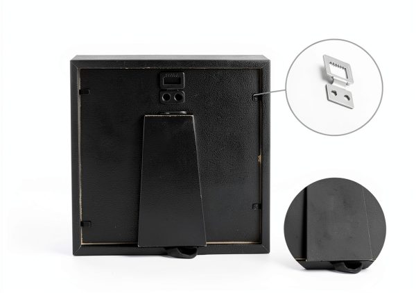 Insect Display Kit QoTang Wood Acrylic Set with Stainless Pins-3