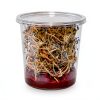 Fruit Fly Culture Kit BugBoy4Ever 24oz Nutrient Medium for D hydei-3