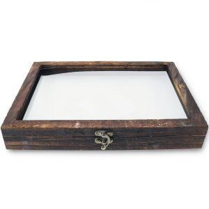Butterfly Specimen Display Box Cabilock Wood Frame Transparent Lid-0