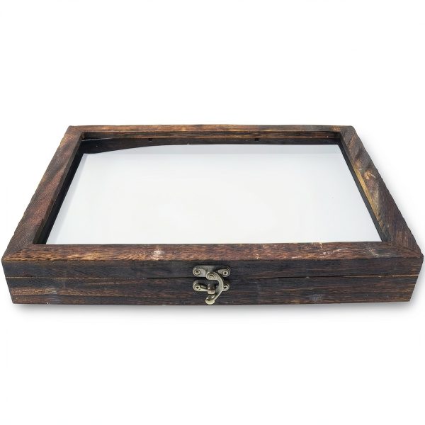 Butterfly Specimen Display Box Cabilock Wood Frame Transparent Lid-0