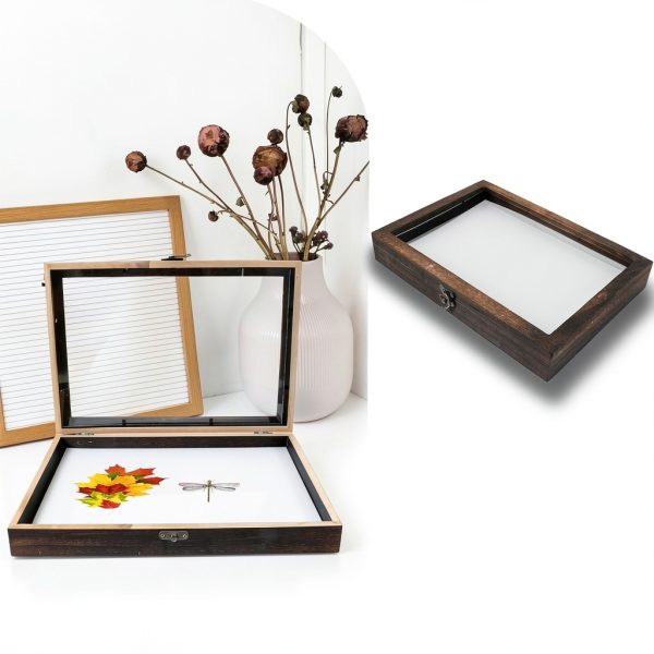 Butterfly Specimen Display Box Cabilock Wood Frame Transparent Lid-6