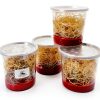 Fruit Fly Culture Kit BugBoy4Ever 24oz Nutrient Medium for D hydei-1