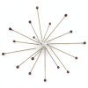 Insect Pins OIIKI LH2261-CA Stainless Steel 3‑Size Set with Bottle-5