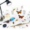 Stainless Steel Insect Pins 100 Pack by Wentoenapp Durable Resin Head-3