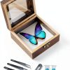 Entomology Kit LSHAI Solid Wood Butterfly Shadow Box with 20 Parts-0