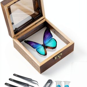 Entomology Kit LSHAI Solid Wood Butterfly Shadow Box with 20 Parts-0