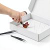 Insect Pinning Kit Taiyin 100 Pins 3 Tweezers White Box-3