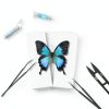 Entomology Kit LSHAI Solid Wood Butterfly Shadow Box with 20 Parts-4
