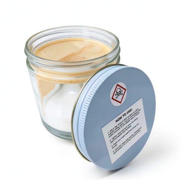 ChemistryCabinet 16oz Clear Glass Insect Kit with Plaster Lined Jar-0