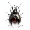 LittleCaterpillar Entomology Kit with Real Beetle Specimen and Tools-2