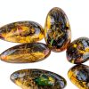 Western Eagle Workshop Insect Resin 8‑Specimen Educational Set-6