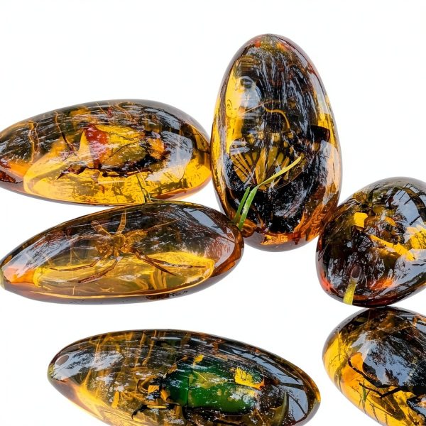 Western Eagle Workshop Insect Resin 8‑Specimen Educational Set-6