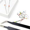 Insect Specimen Kit Dddzerong with Pinning Board and Display Case-8