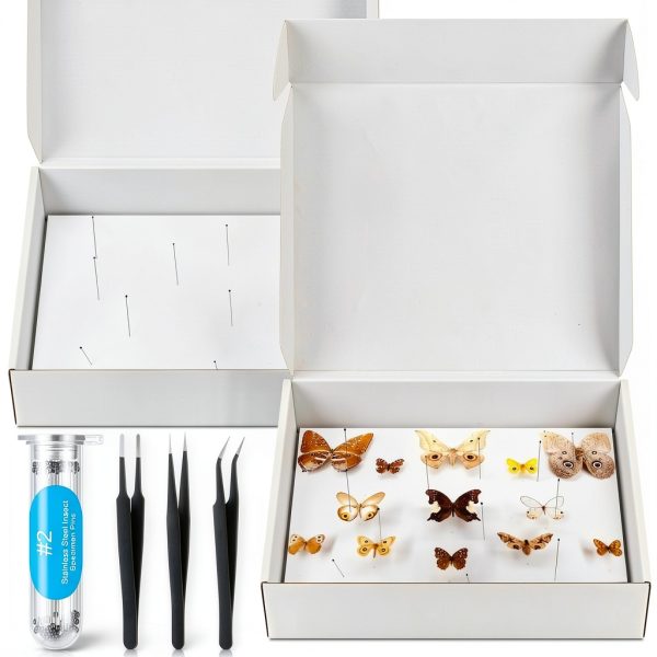 Insect Pinning Kit Taiyin 100 Pins 3 Tweezers White Box-0