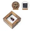 Entomology Kit LSHAI Solid Wood Butterfly Shadow Box with 20 Parts-1