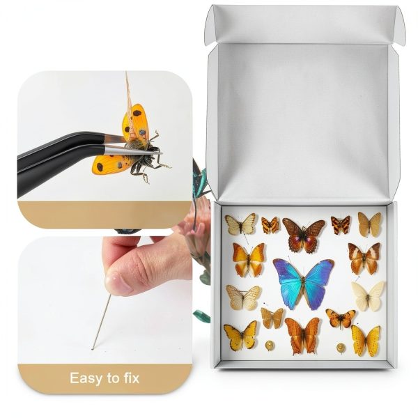 Insect Pinning Kit Taiyin 100 Pins 3 Tweezers White Box-2