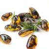 Western Eagle Workshop Insect Resin 8‑Specimen Educational Set-5