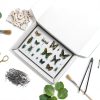 Verdanzia Insect Pinning Kit 5 EVA Boards 500 Steel Pins Display Box-3