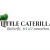 LittleCaterpillar Entomology Kit with Real Beetle Specimen and Tools-4