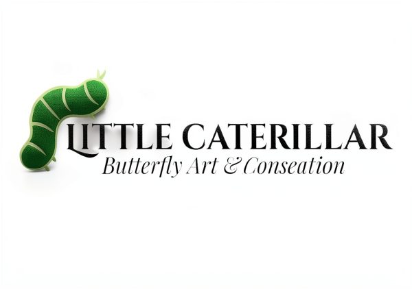 LittleCaterpillar Entomology Kit with Real Beetle Specimen and Tools-4
