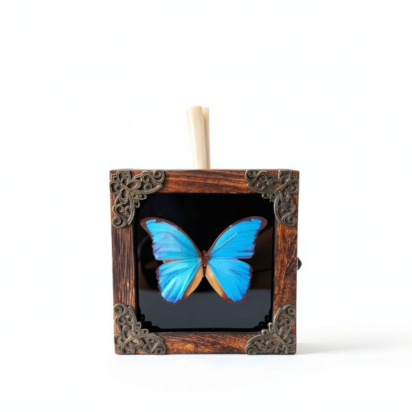 GO LUCKY Square Insect Display Case with EVA Foam Board 4.3x4.3x0.8-4