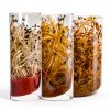 Fruit Fly Culture Kit BugBoy4Ever 24oz Nutrient Medium for D hydei-4