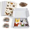 Verdanzia Insect Pinning Kit 5 EVA Boards 500 Steel Pins Display Box-0