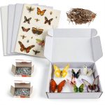 Verdanzia Insect Pinning Kit 5 EVA Boards 500 Steel Pins Display Box-0
