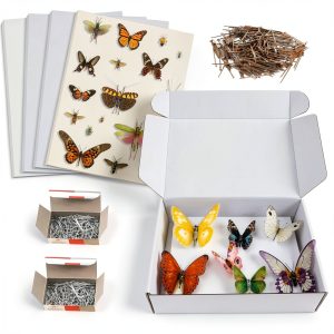 Verdanzia Insect Pinning Kit 5 EVA Boards 500 Steel Pins Display Box-0