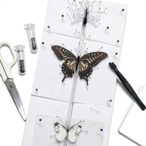 Insect Pinning Board Asablve Adjustable EVA Foam Double‑Sided Board-0