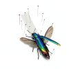 Butterfly Pinning Board Dual‑Sided EVA Foam Insect Spreader by Alrhso-3