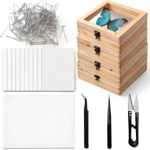 20 PCS Insect Specimen Tools Kit 4 Wooden Display Case Box with Clear Top 10 Sheets Thin Tracing Paper 2 EVA Foam Pinning Board 200 Pins 2 Tweezers 1 Scissors Tools for Winter Bugs Collection-0