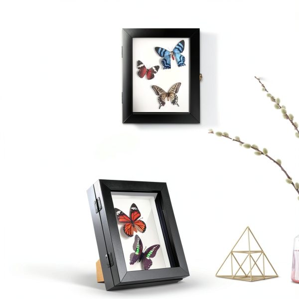 3 Pcs Insect Display Case Wall Mount Clear Bug Display Case Collection Box with Anti Fade UV Protection Top Eva Foam Pin 300 Pcs and 3 Sizes Pins Insect Shadow Box for Butterfly Specimen-1