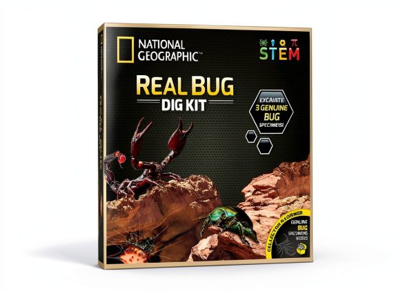 National Geographic Real Bug Dig Kit 3 Insects Spider Beetle Scorpion-0