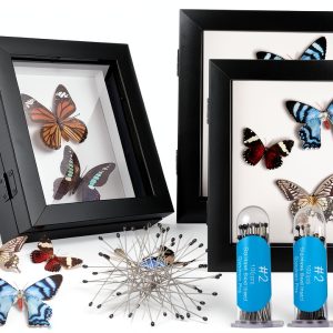 3 Pcs Insect Display Case Wall Mount Clear Bug Display Case Collection Box with Anti Fade UV Protection Top Eva Foam Pin 300 Pcs and 3 Sizes Pins Insect Shadow Box for Butterfly Specimen-0