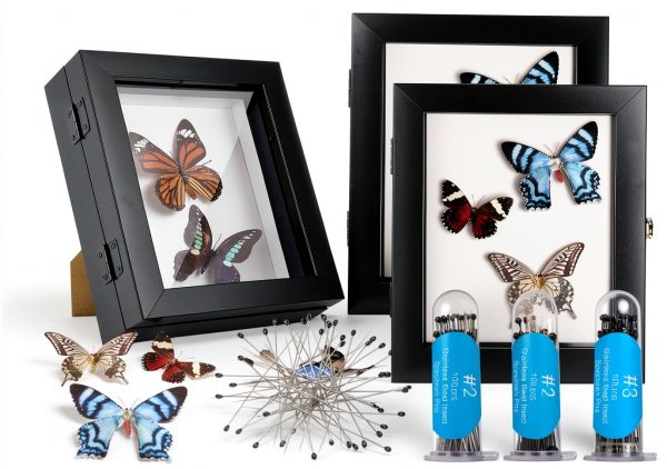 3 Pcs Insect Display Case Wall Mount Clear Bug Display Case Collection Box with Anti Fade UV Protection Top Eva Foam Pin 300 Pcs and 3 Sizes Pins Insect Shadow Box for Butterfly Specimen-0