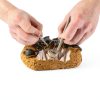 National Geographic Real Bug Dig Kit 3 Insects Spider Beetle Scorpion-1