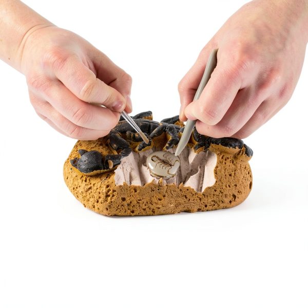 National Geographic Real Bug Dig Kit 3 Insects Spider Beetle Scorpion-1