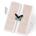Butterfly Pinning Board Dual‑Sided EVA Foam Insect Spreader by Alrhso-0