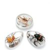National Geographic Real Bug Dig Kit 3 Insects Spider Beetle Scorpion-2