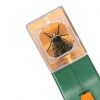 Carson BugView Bug Catcher Indoor and Outdoor Tool and Magnifier for Kids and Adults - Set of 6 (HU-10MU)-5