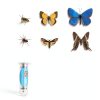 4 Pcs Insect Pinning Kit with Wooden Display Cases and EVA Foam-5
