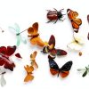 Asablve Insect Specimen Tools Kit with Pins, Board, Display Case for-6