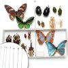 350 Pcs Stainless Steel Insect Pins in 7 Sizes, Specimen Entomology Pins and Butterfly Collections Needle for School Lab Butterfly Collectors with Vials & Labels-3