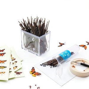 100 Pcs Insect Pins Specimen Pins Stainless Steel with Plastic Box Resin for Head for Entomology Dissection for Butte, Science Education, Insect Pins-0