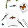 Asablve Insect Specimen Tools Kit with Pins, Board, Display Case for-5