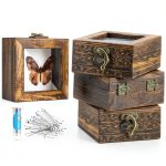 4 Pcs Insect Pinning Kit with Wooden Display Cases and EVA Foam-0