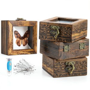 4 Pcs Insect Pinning Kit with Wooden Display Cases and EVA Foam-0